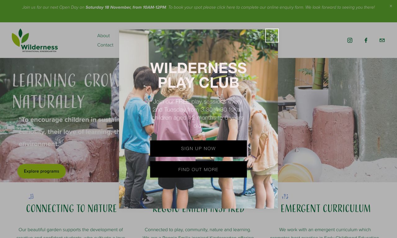 Screenshot of the Home Page of WILDERNESS INTERNATIONAL KINDERGARTEN